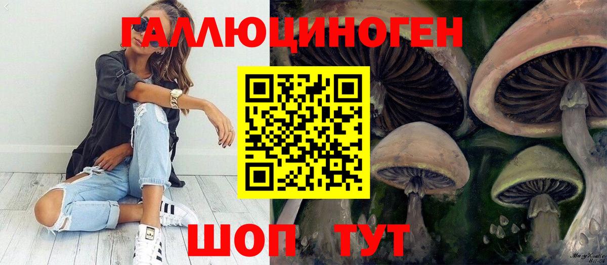 Вологда  Галлюциногенные грибы Psilocybe  где купить наркоту  Вход с VPN 